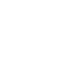 Integrity icon
